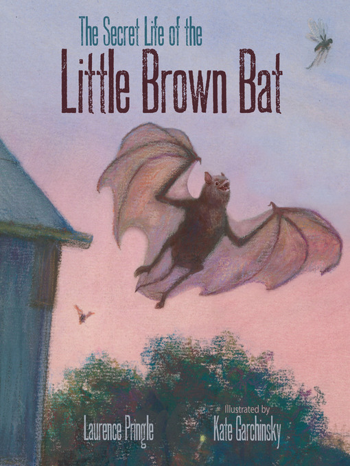 Title details for The Secret Life of the Little Brown Bat by Laurence Pringle - Available